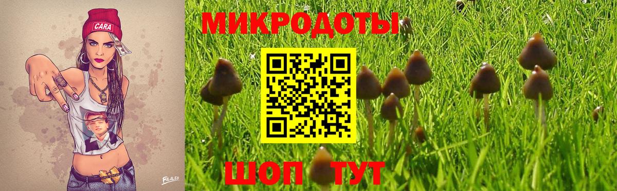 Псилоцибиновые грибы GOLDEN TEACHER Киселёвск