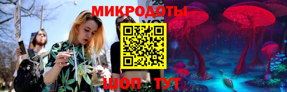 Галлюциногенные грибы Cubensis  Вход с VPN  Киселёвск 